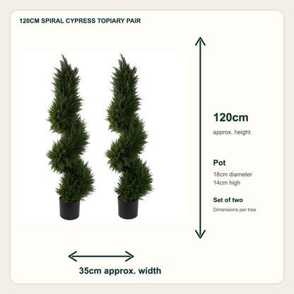 120cm Spiral Cypress Topiary Pair